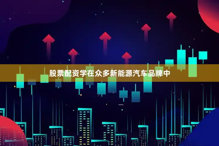 股票配资学　　在众多新能源汽车品牌中